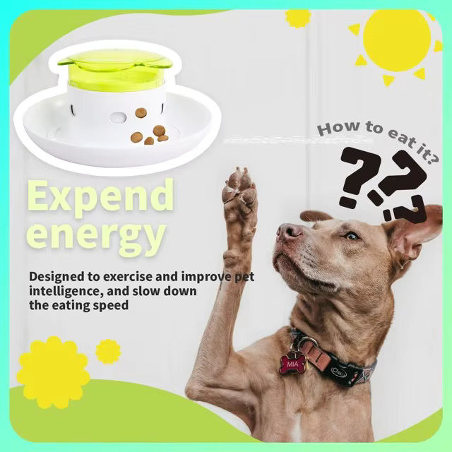 Slow Food Dispenser for Dogs and IQ Learning * IQPetLab