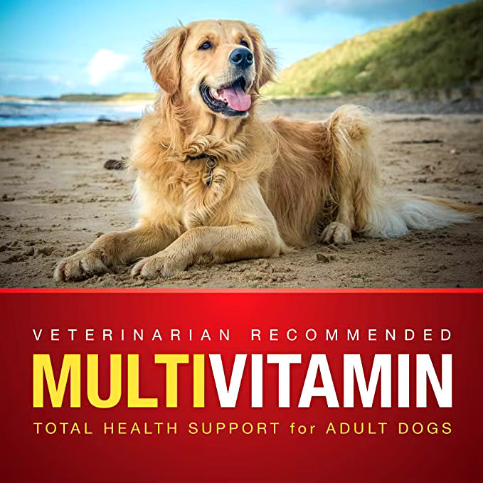 Multivitamin Supplement for Dogs * IQPetLab