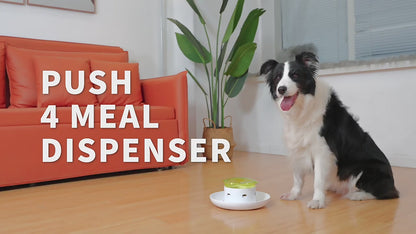 Slow Food Dispenser for Dogs and IQ Learning * IQPetLab