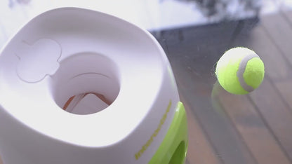 Interactive dog treat dispenser with tennis ball * IQPetLab